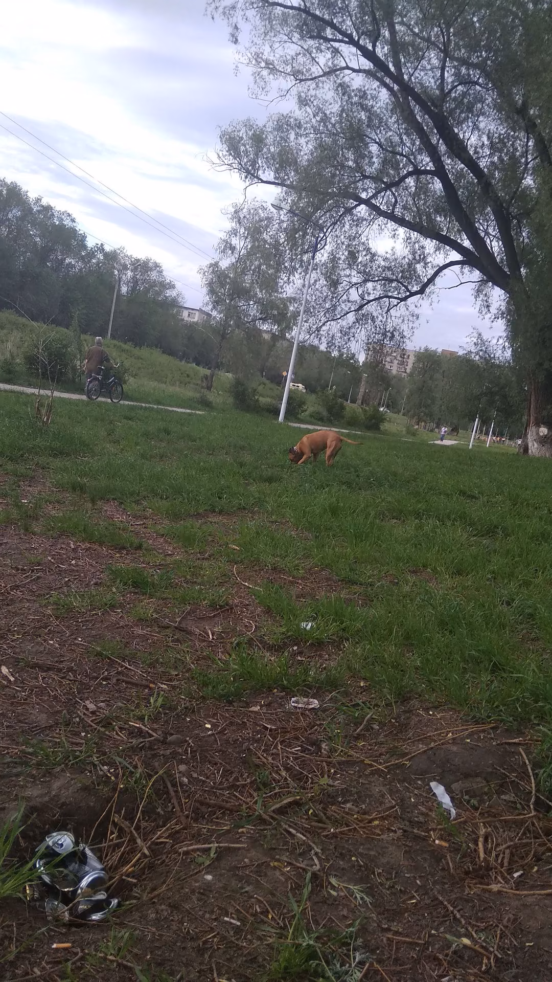1028b3379e3ecd5d20e6b00db56db90a.jpg
