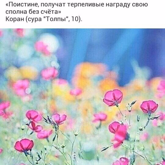 104701bb2291cb06310a913de0d1ddef.avif