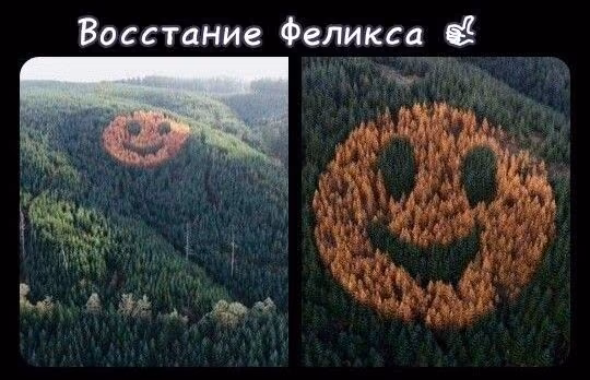1048970c8022d97816bbee6605d8e350.avif