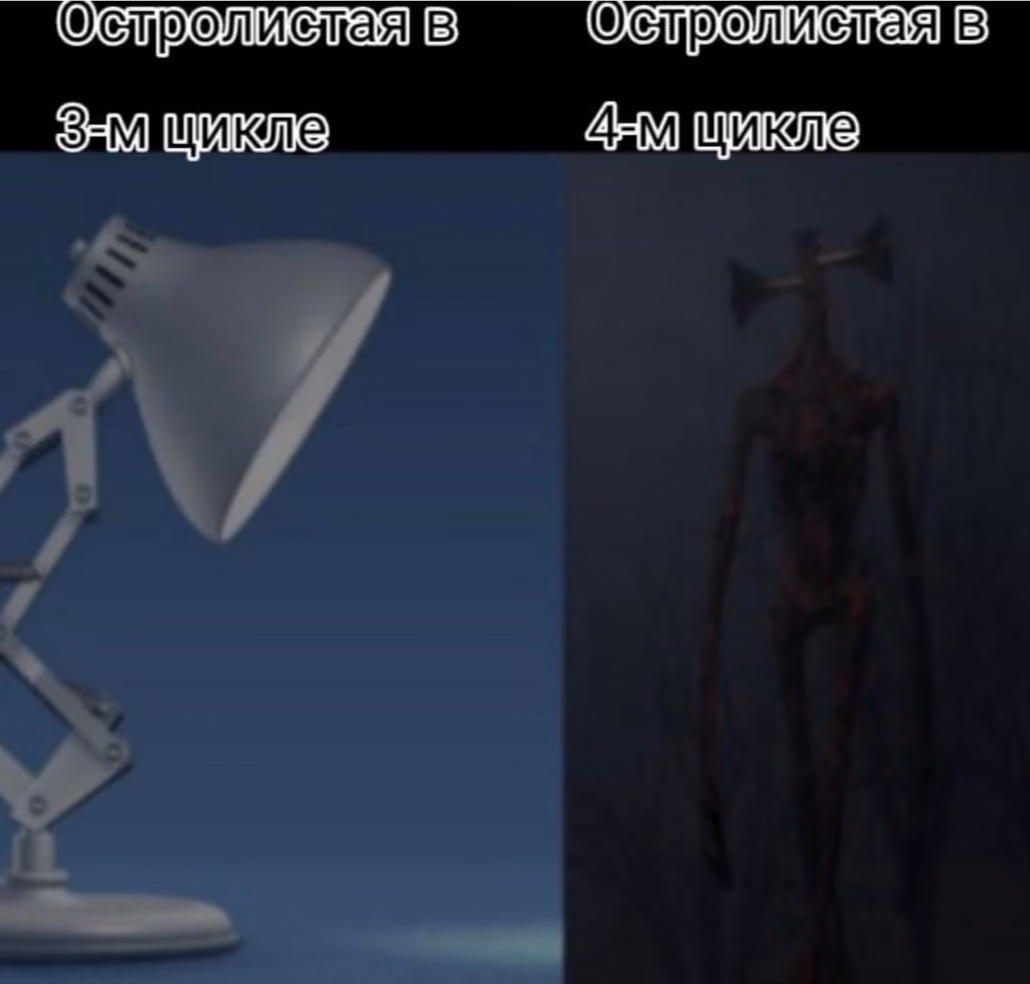 1067ccd08d6fa1e37ec10b842faf7ce9.avif