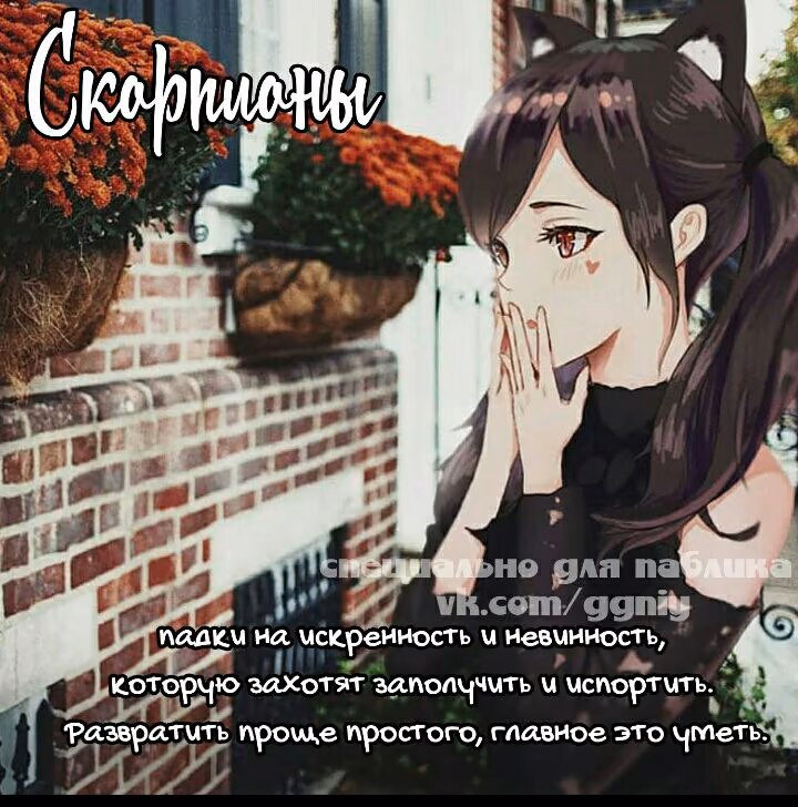 1068b9b8f190abe27897ab71dfc757e2.jpg