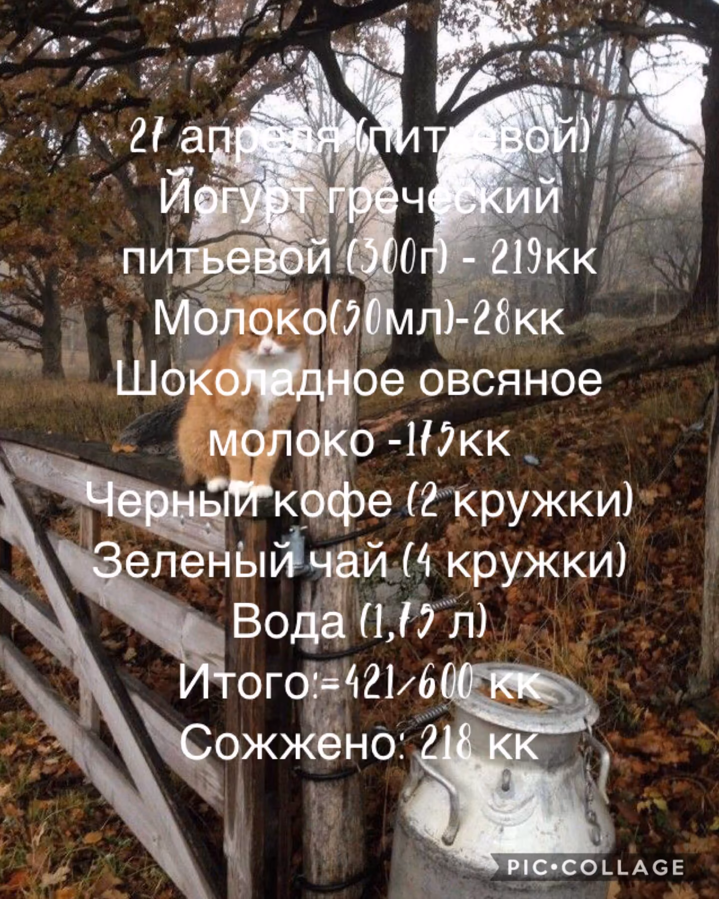 10760a7874dacba0ce72d23eedbeb86b.jpg