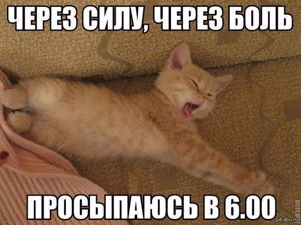 1079f1a749641e4654c4b9ea2ed7331f.avif