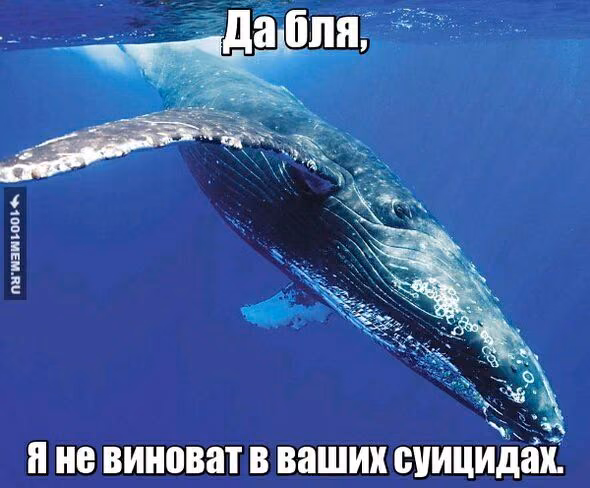 107a4a87128fb29c413d396ec65ac93f.avif