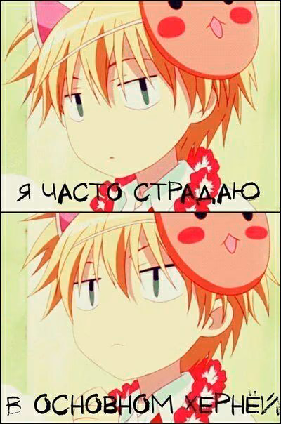 1081ad9d9095f9aa654fb5be0dde7a40.avif