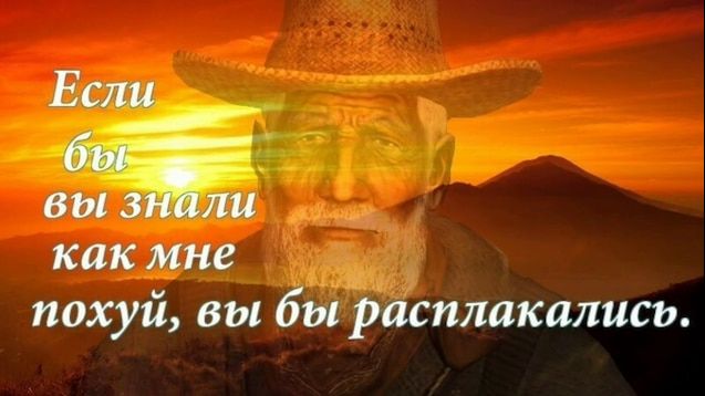 108213f955e6533950b4c7e4c49b8df6.jpg