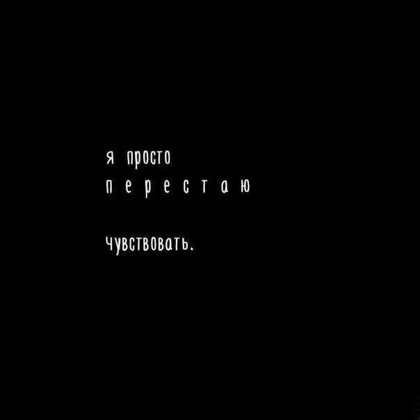 108a6f8cd3a21cf4b1eae2c4c0df08ff.jpg