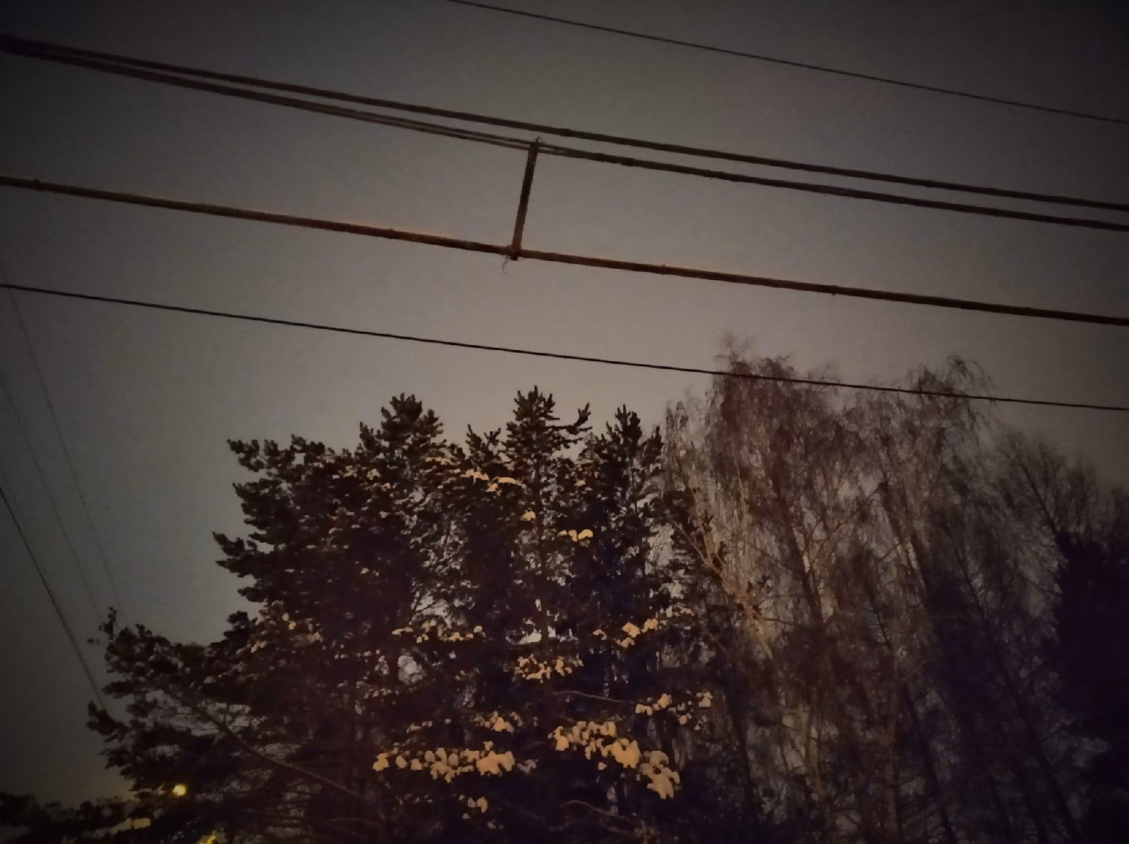 1097ea83d8dffa355bdebcadc4aa737a.avif