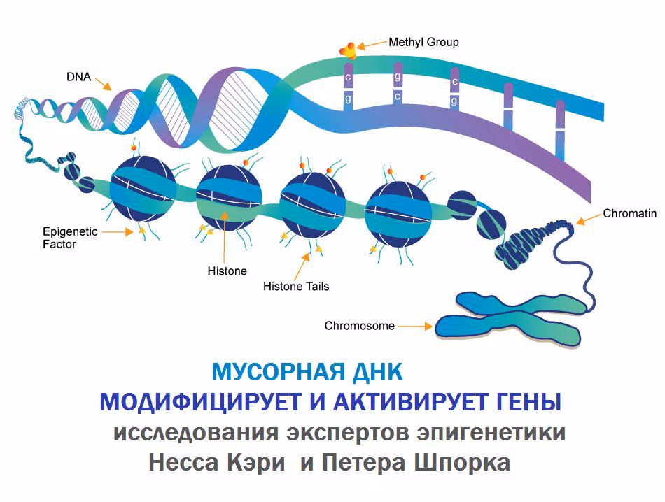 10a6f72b3fb39b6fd7388742ac46a4f7.avif