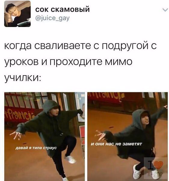 10abd5e4d06aee1ef4ed9d27311fb7c6.avif