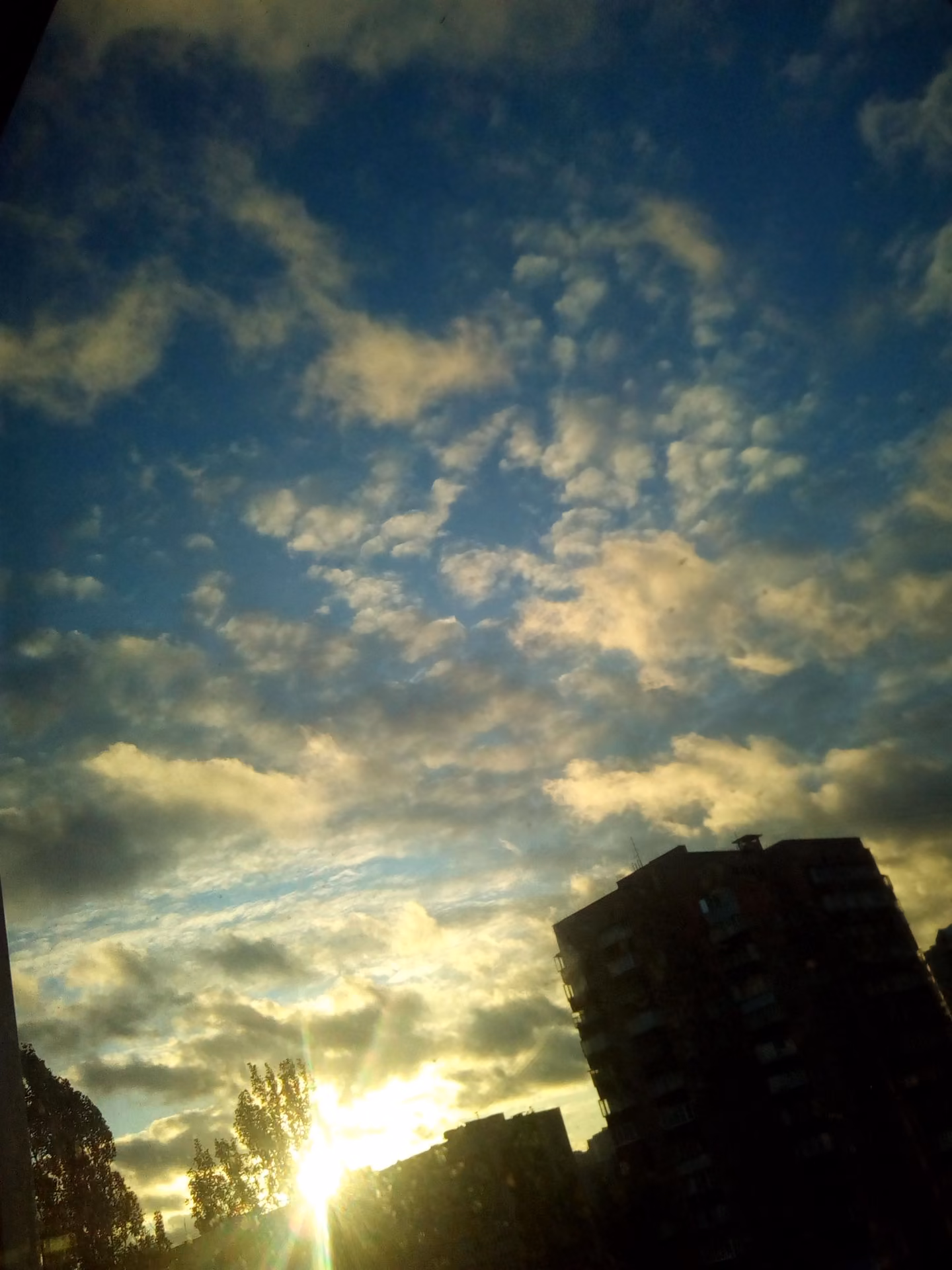 10c2cb642f0231ddc0a39f00ac64c2b2.avif