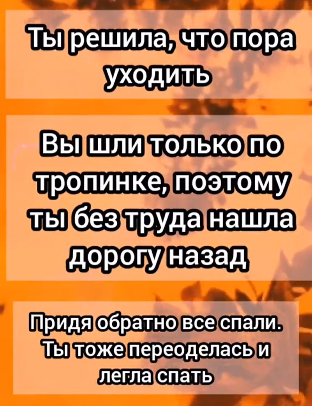 10cfbbb939094945b269a02a6bdce953.avif