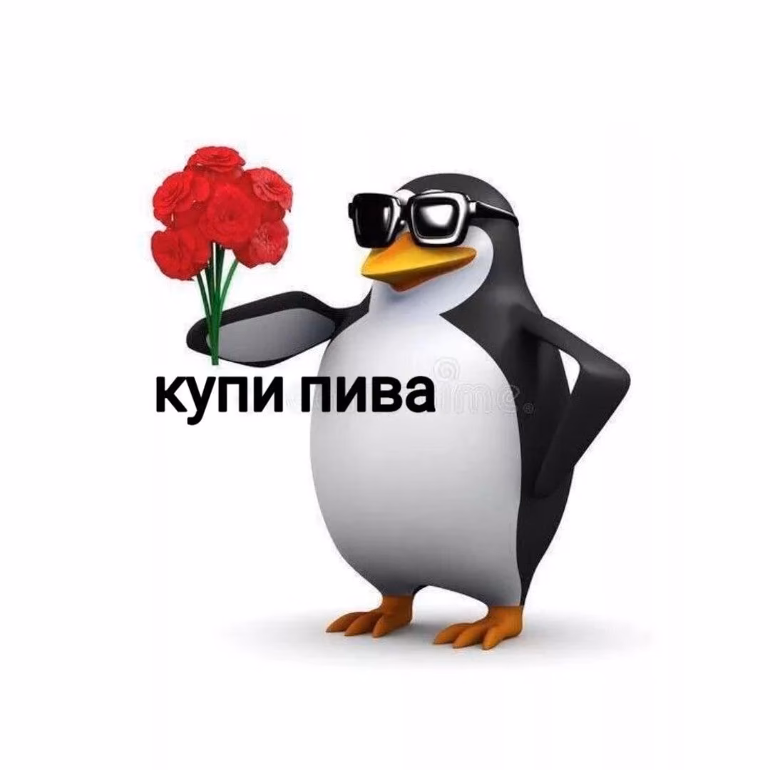 10d048fe454d19561cbb88a64567bff2.jpg