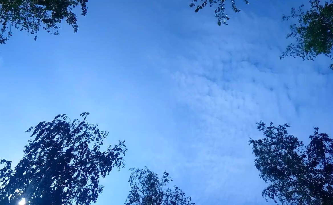10d77a4e8987af65dea01aa7010e7a46.avif