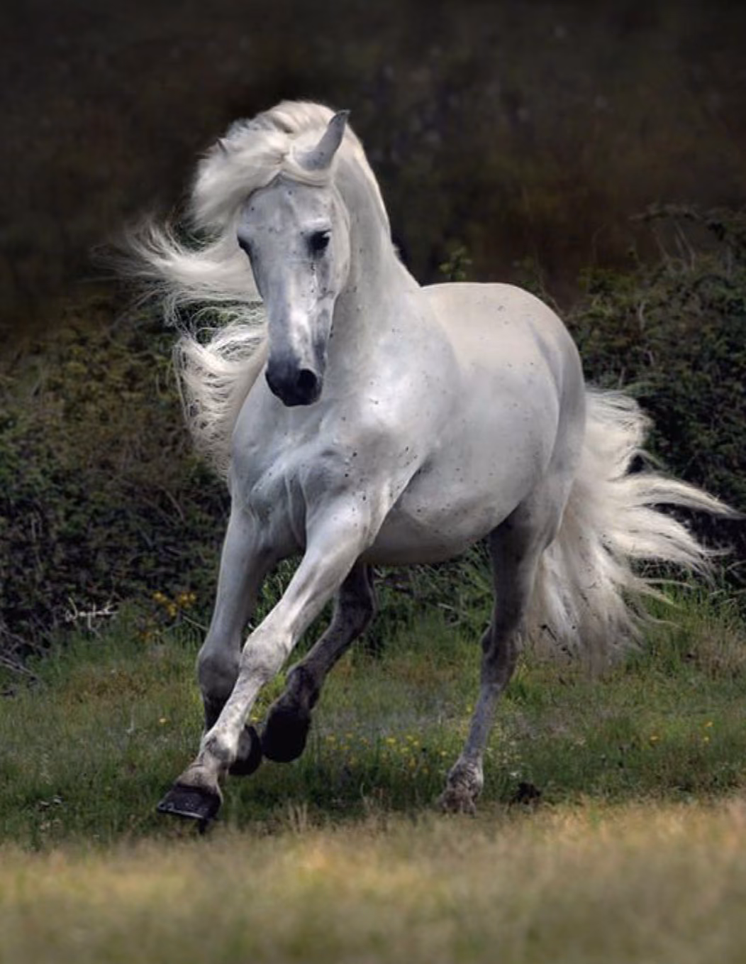 10dbeedf2fbdfaa2ad153345acc1db57.avif