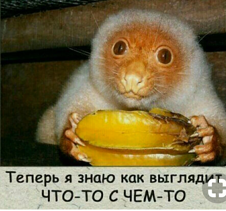 10f0418d2b7e562e7719744c0ecec9cd.jpg