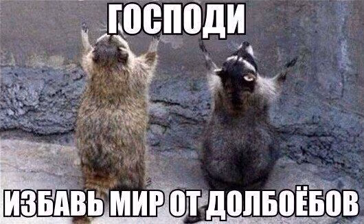 10fc87d360778c4da1648b75cef1d3f5.avif