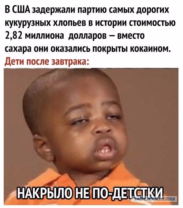 1103dab2dfd6fd24975b76ec693122ba.jpg