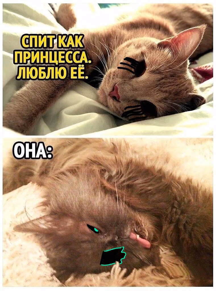 1105465f67e669927b5cebe6e2fbaa29.jpg