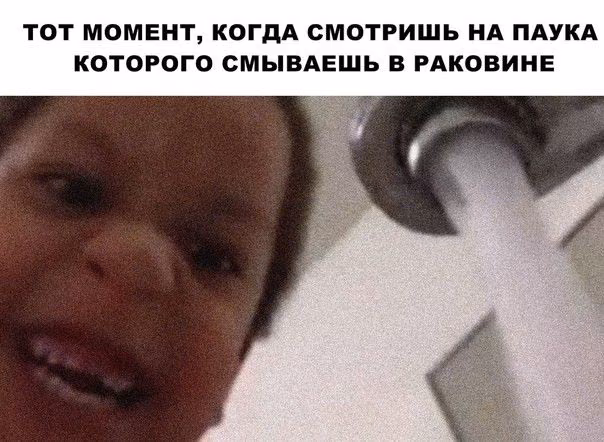 11066a27bd2486aeac36512a954ec886.jpg