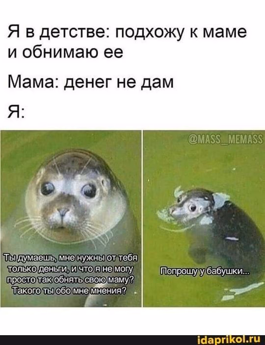 1109f5745e6afa2be8ead786a442ed1a.avif