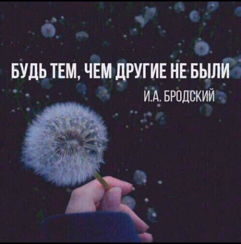 110dc1e8f32522ad61ec63a36b6b9041.jpg