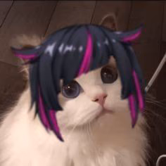 3bad2742f77ea6f76c71424ce0bd0486.jpg