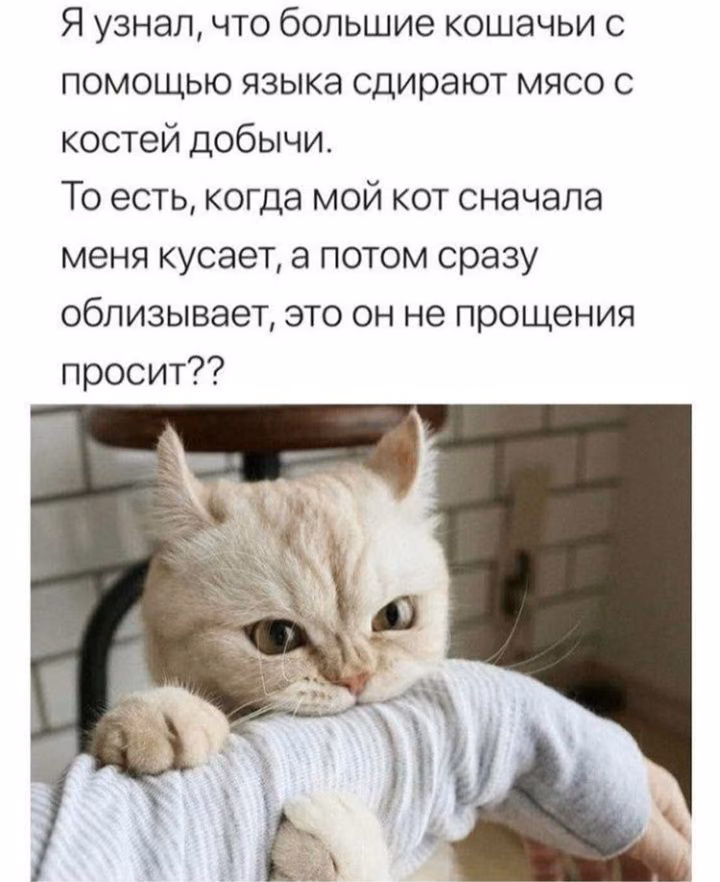 110e4b037a6dfb8025f504da9f102641.avif
