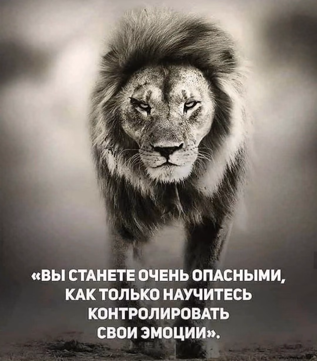 111e58d63657ad02d70bee369fa75615.jpg