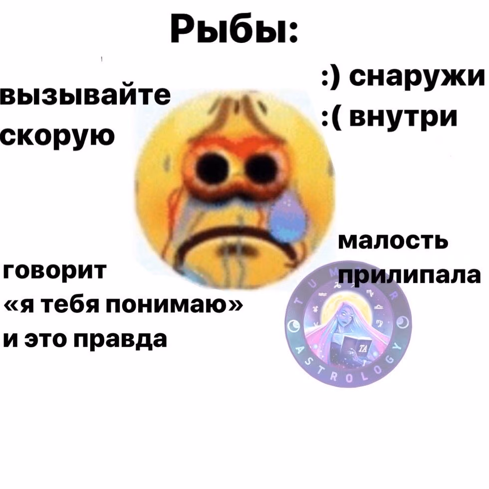 11204a84182d9940a18209c95922d5de.avif