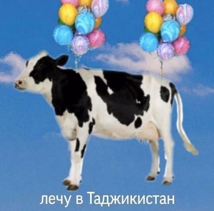 113cce2956d3a8d97ec29bec12d50855.avif