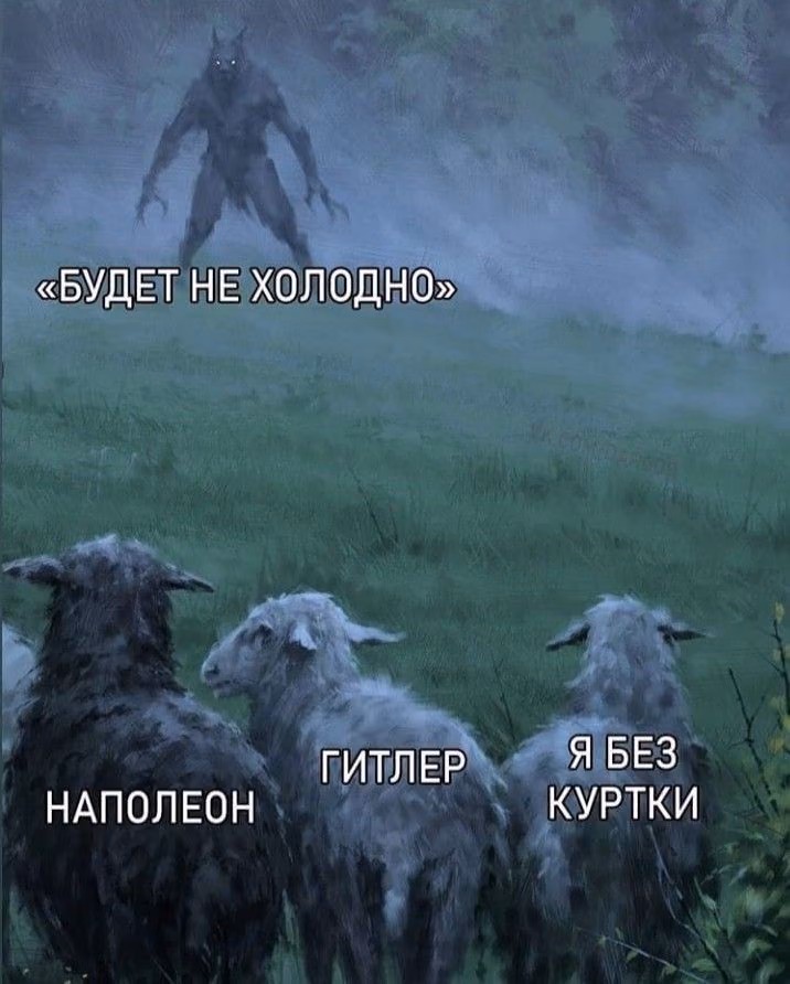 11402d952b22e86da3b1f32d9d2ba7de.avif