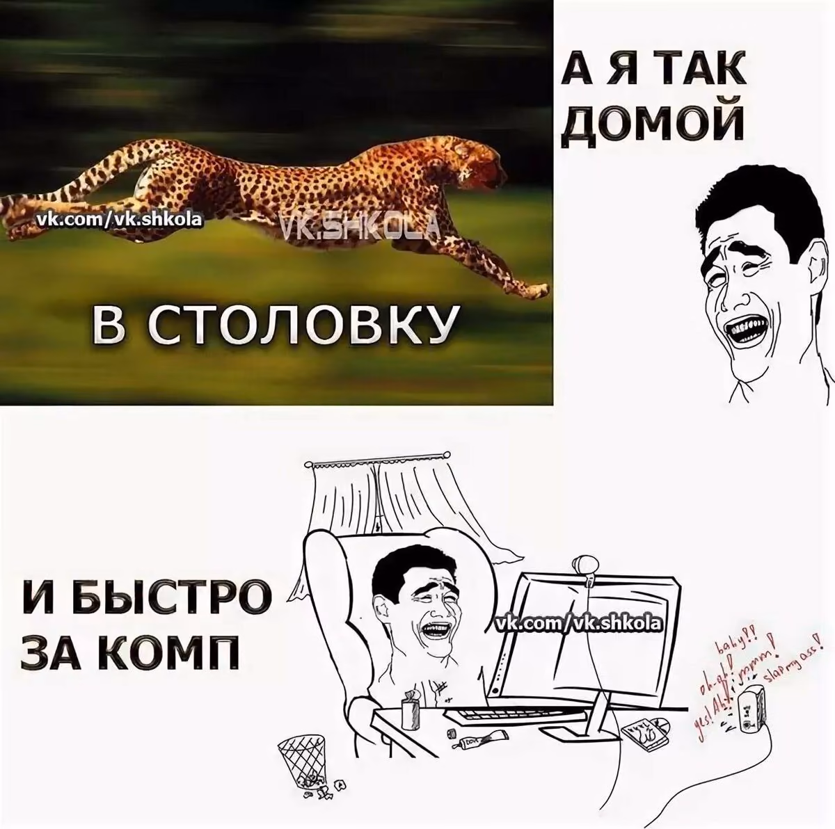 11426877f205c338584e7d1c9ac83bb9.avif