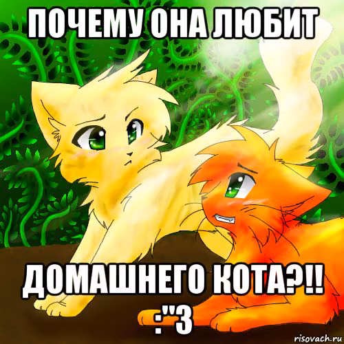 1145e0f1e56642fb50b55869a664d201.avif