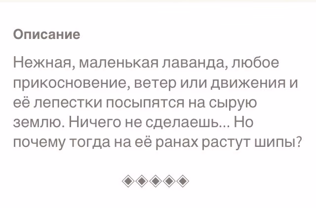 1148ac007c1cccfbe4f6bafab8aee634.jpg