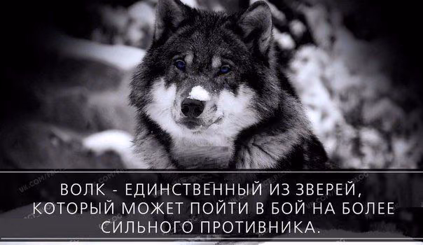 114961d0a18b769be661dd2b128d6f8c.avif