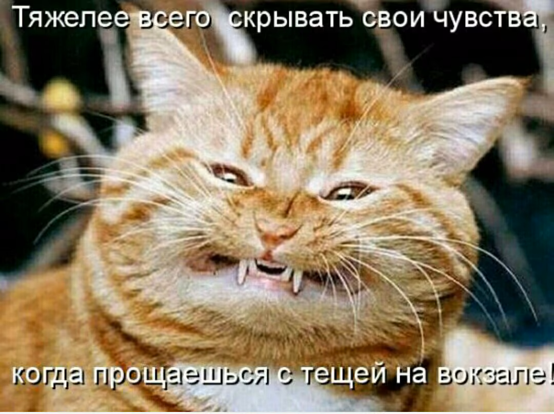 116b7c905cd6c7ca844cfab97d947f78.jpg