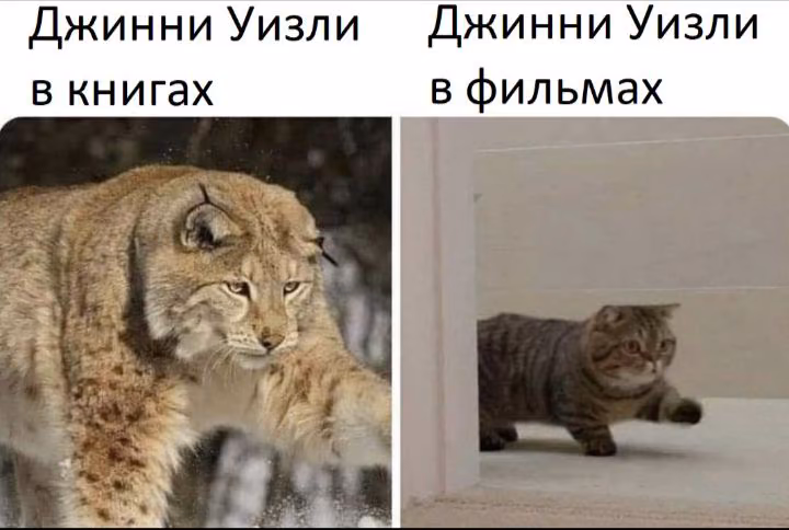 116d4f24d0d6347c50086570be196d82.avif