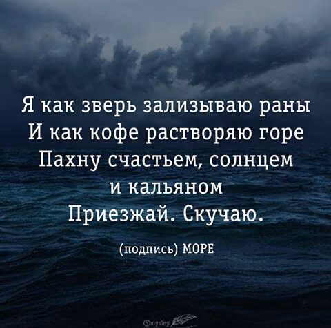 11710006fa0f17c5faa1a8ca364463ee.jpg