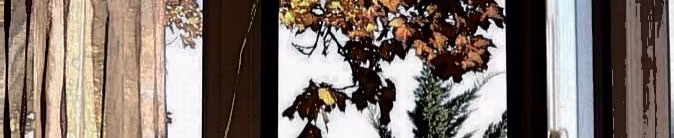 118b3a4f84af6bf906556702a61f9216.avif