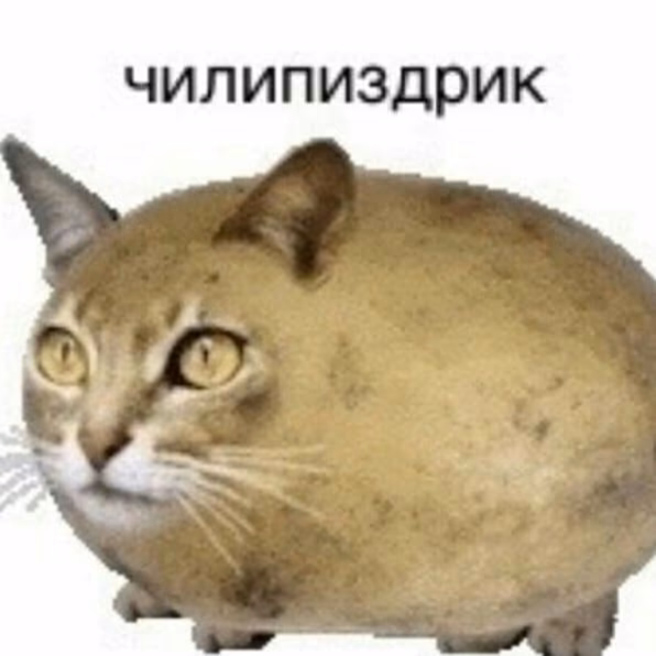 11a7feef203573c66f7e30cce50297f6.jpg