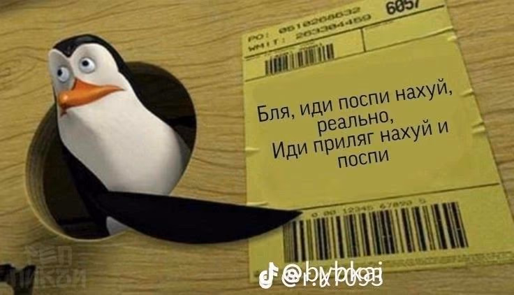 11b6d025993cfb5d3b56b71903016bee.jpg