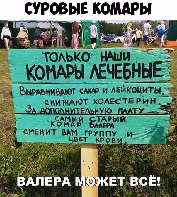 11c2b7ac7449a60188081e8a2441ea58.jpg