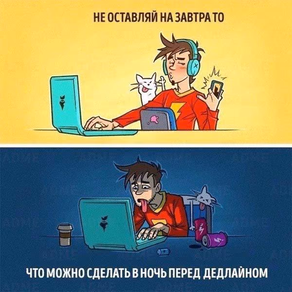 11d3b737a71ba69c1a1b916ba0316093.avif