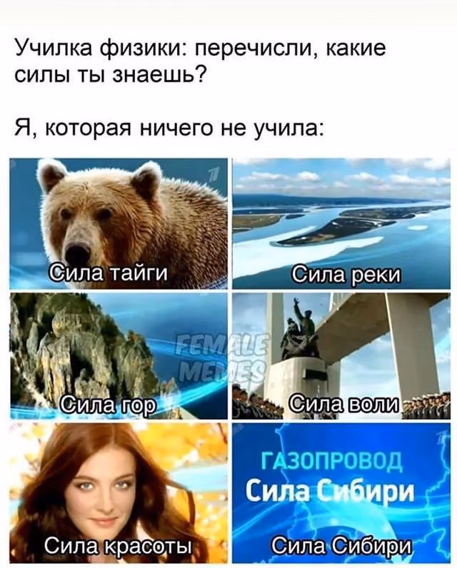 11d4d5f0731ab270b02ee76d2cd75f3c.avif
