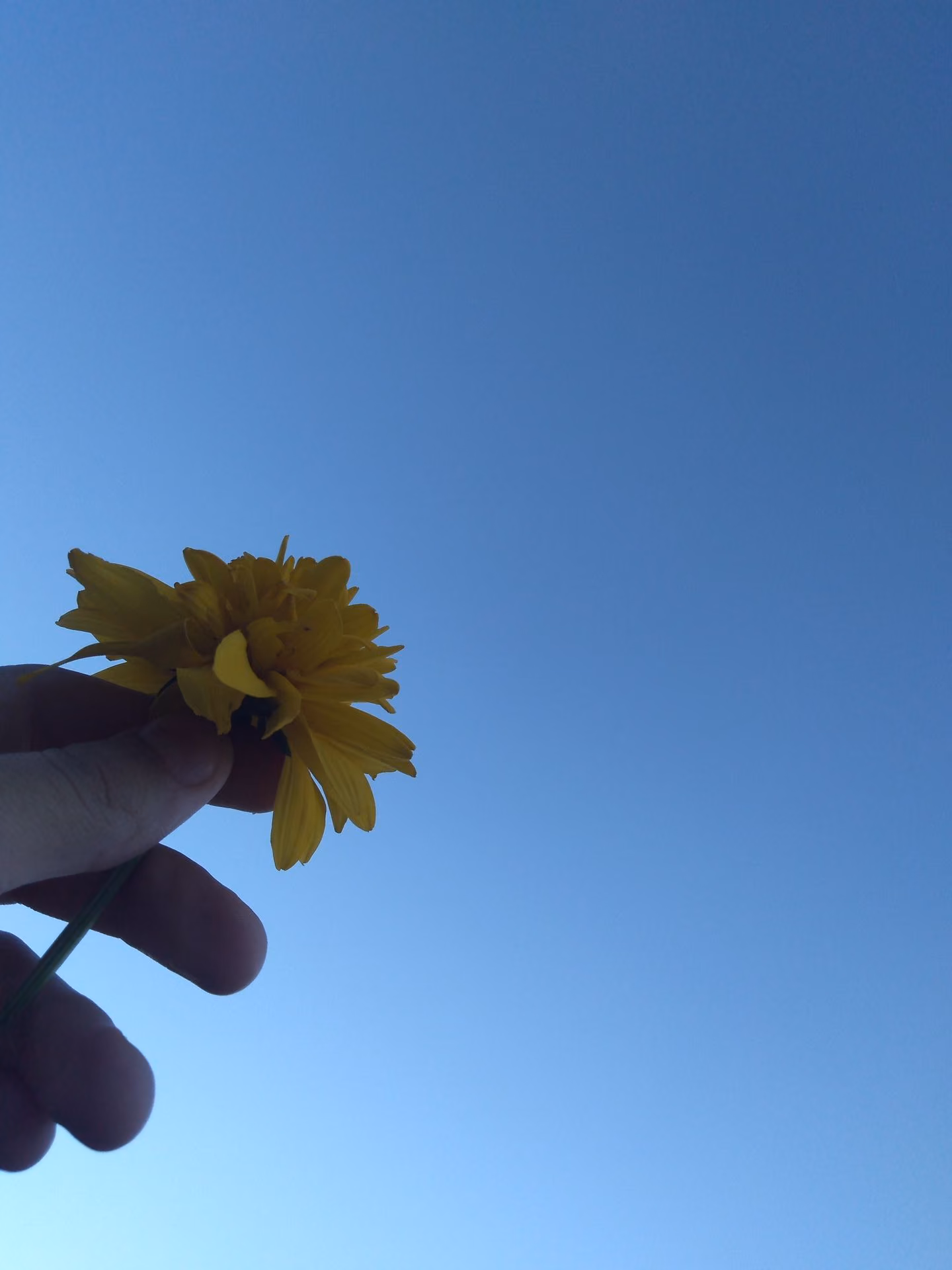 11d98566ef7bdd2f19ba7e8ba6df4596.jpg