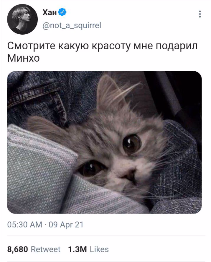11eaed3063d83d8fe6e8e47405253bb9.jpg