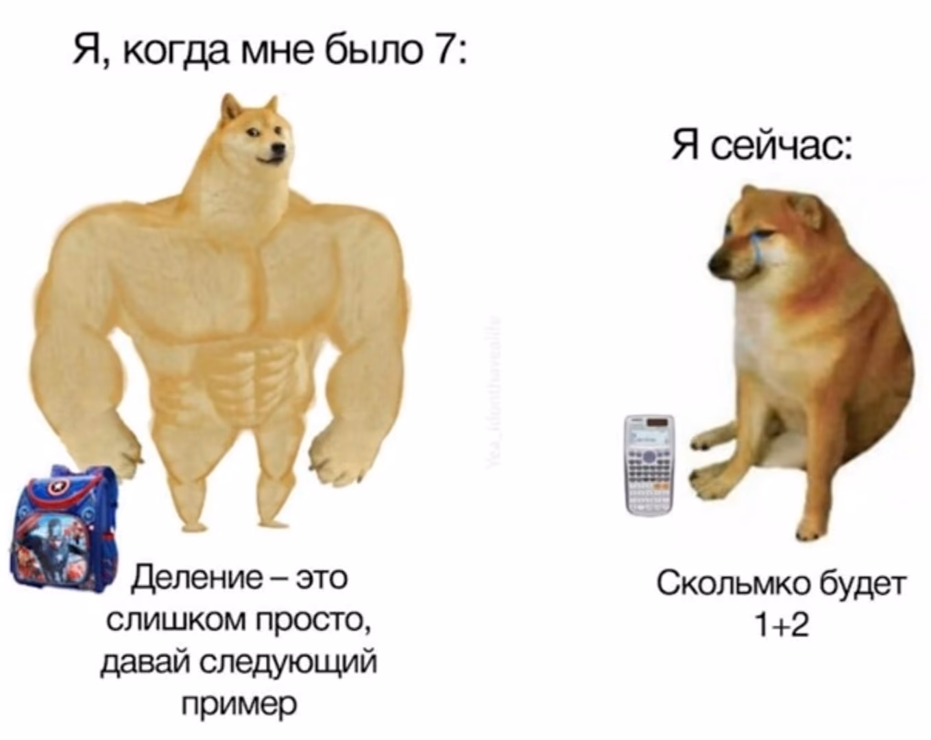 121066e75ae3510e0cd339ba20b26408.jpg