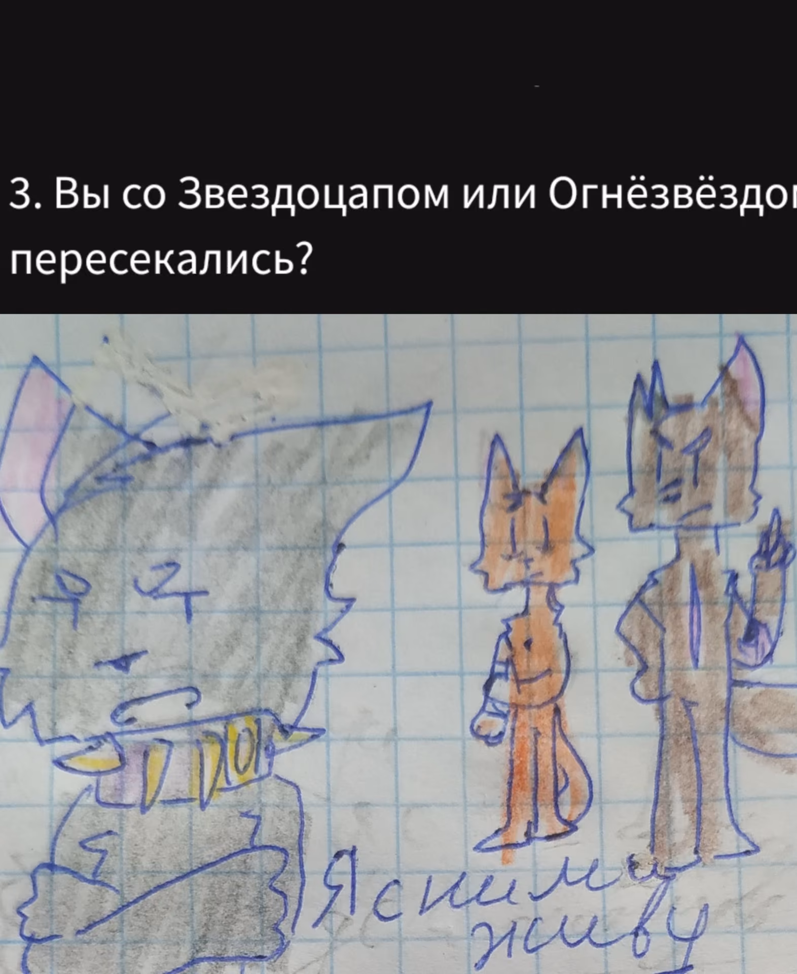 121f9c1d498d9493c5ba7323d0915f27.avif
