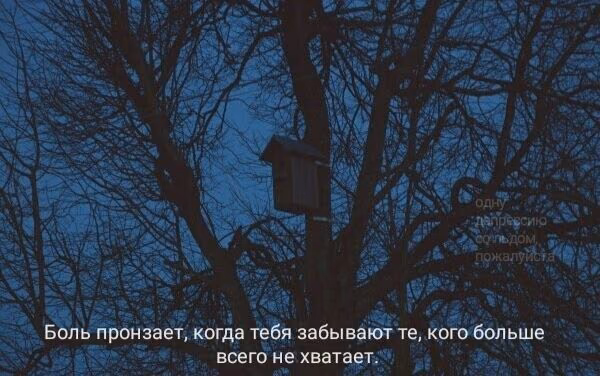 1220d6fb3ff1b6a4e22b1fffdb7e71e4.jpg